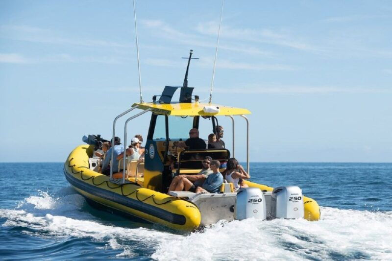 oahu-north-shore-marine-life-tour-from-haleiwa