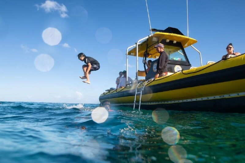 oahu-north-shore-snorkeling-tour-from-haleiwa