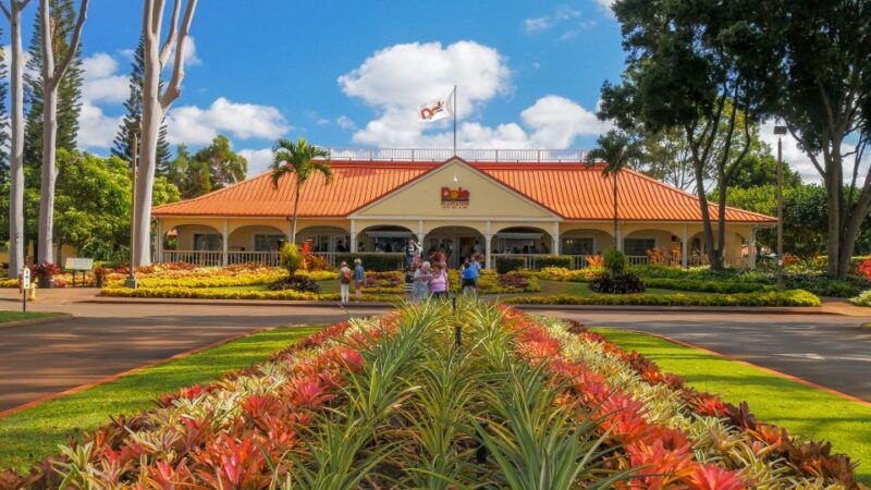 oahu-oahu-ultimate-grand-circle-island-tour