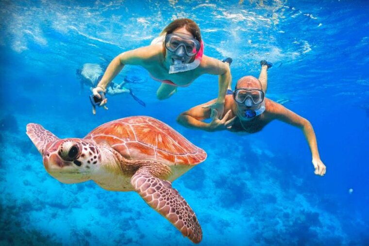 oahu-oahu-ultimate-grand-circle-island-tour