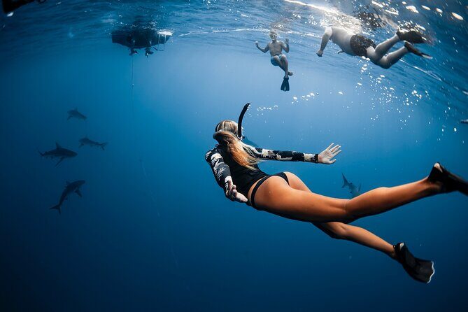 Oahu Open Water Shark Diving Experience - Final Thoughts