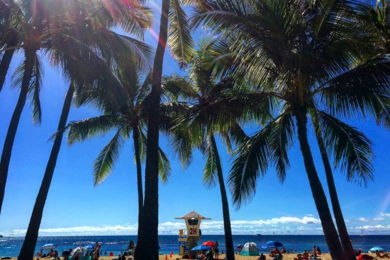 oahu-pearl-harbor-and-honolulu-city-tour