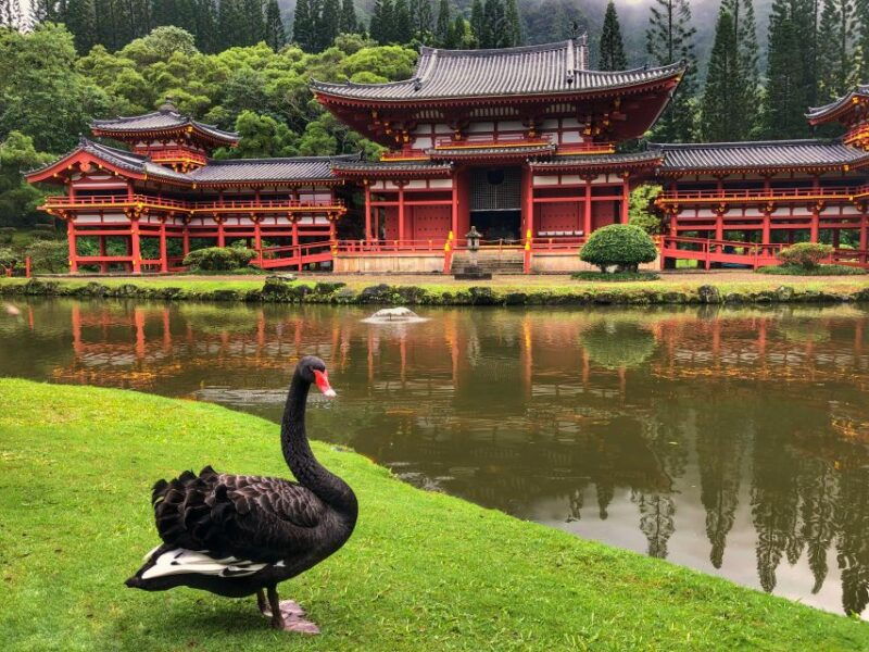 oahu-private-best-of-oahu-sightseeing-tour