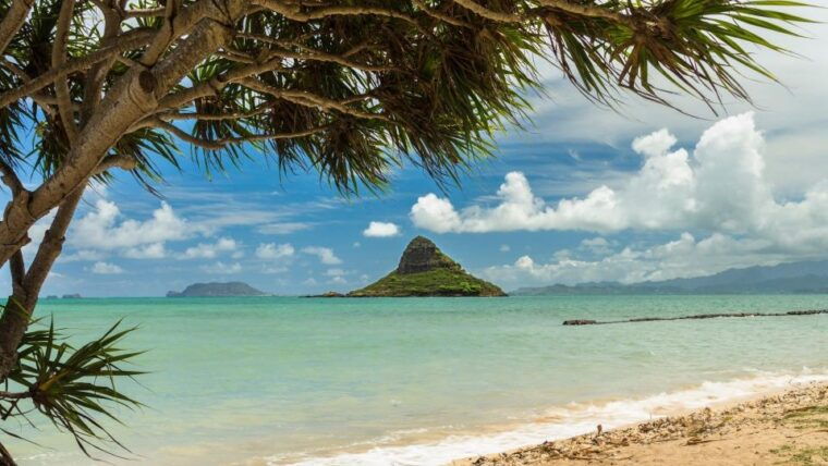 oahu-private-custom-island-tour