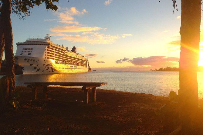 oahu-private-first-last-and-transfer-day-tours-with-luggage