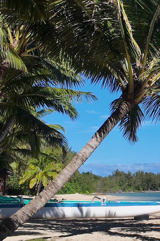 oahu-private-full-circle-island-tour-customizable