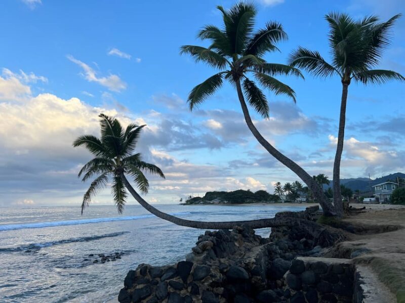 Oahu: Private Tour-Circle Island-Customizable - The Sum Up: Who Will Love This Tour?