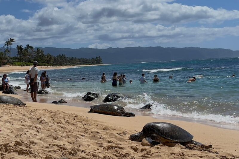 Oahu: Private Tour-North Shore feat. Waimea Falls - Key Points  