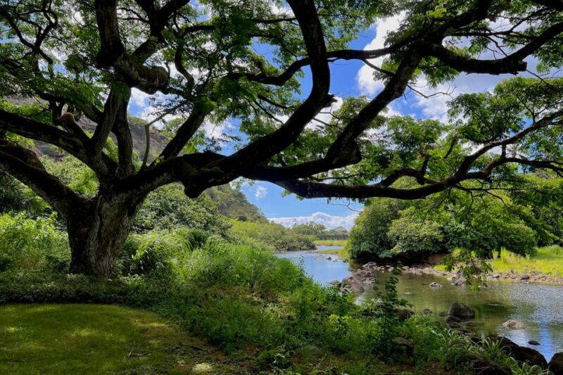 Oahu: Private Tour-North Shore feat. Waimea Falls - 3. Waimea Valley: Walk and Waterfall