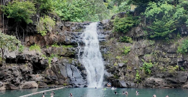 Oahu: Private Tour-North Shore feat. Waimea Falls - 6. Final Stop: Pali Lookout