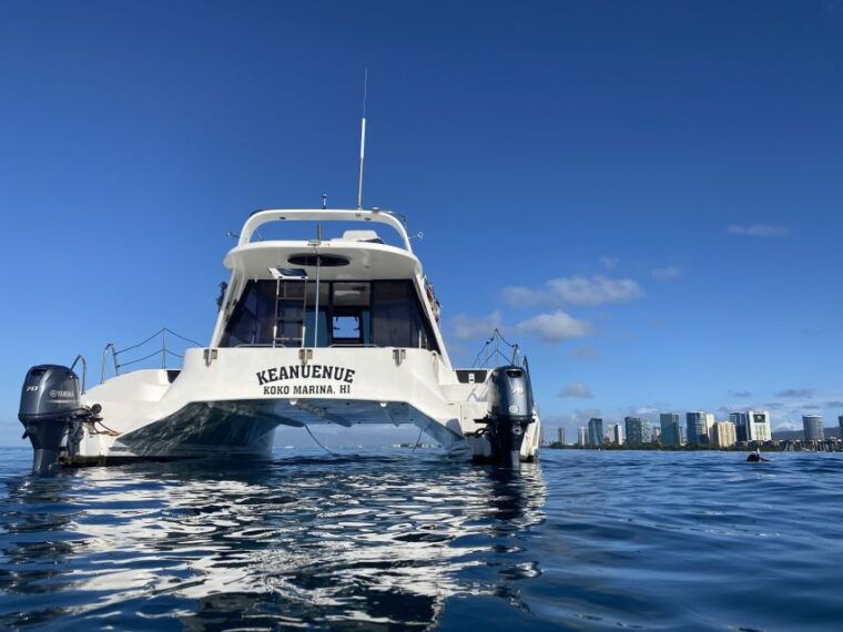 oahu-private-turtle-snorkeling-with-customizable-itinerary