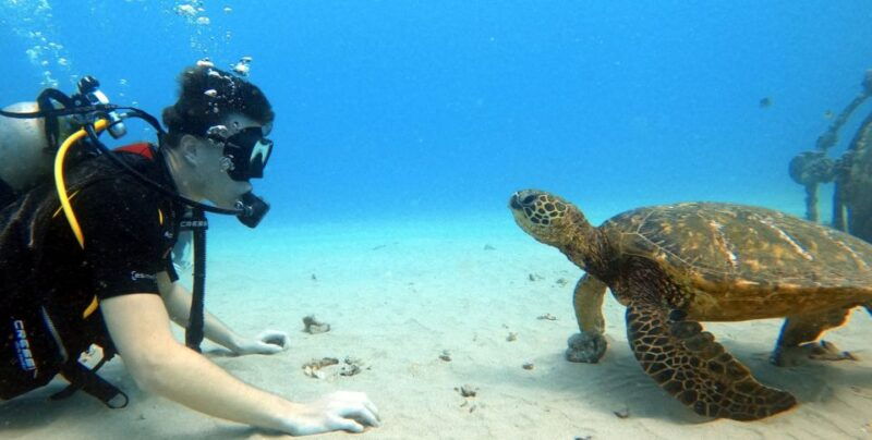 oahu-scuba-diving-lesson-for-beginners