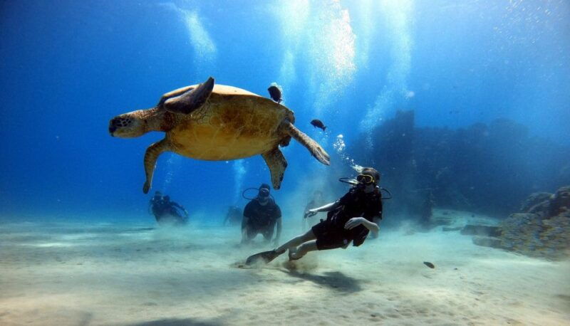 oahu-scuba-diving-lesson-for-beginners