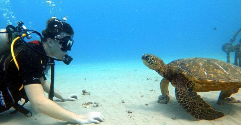oahu-scuba-diving-lesson-for-beginners