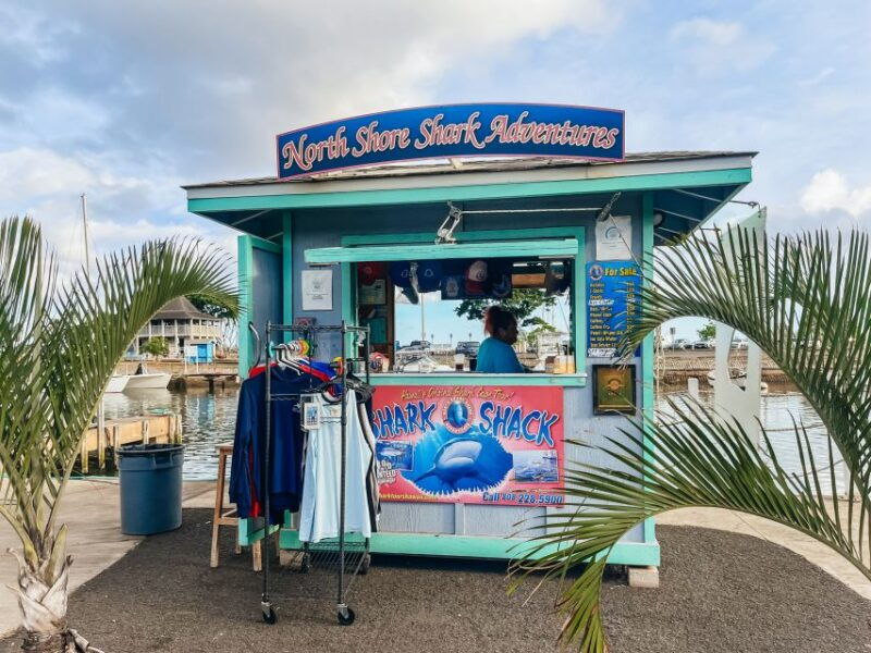 oahu-shark-cage-dive-on-the-north-shore