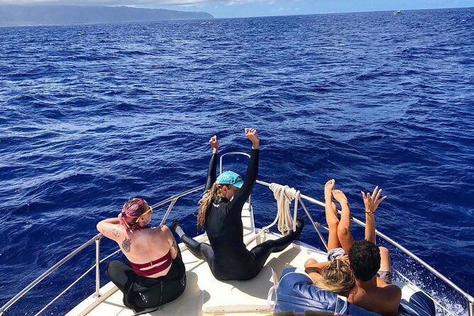 oahu-shark-dive-no-cage