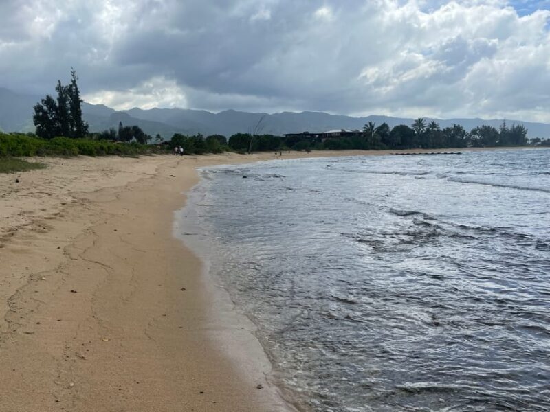 Oahu: Shoreline Restoration Tour w/ Native Plants & Animals - What to Expect from the Shoreline Restoration Tour