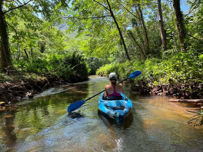 Oahu: Single & Double Kayak 3-Hour River Rental - Discovering the Beauty of Kahana River and Bay