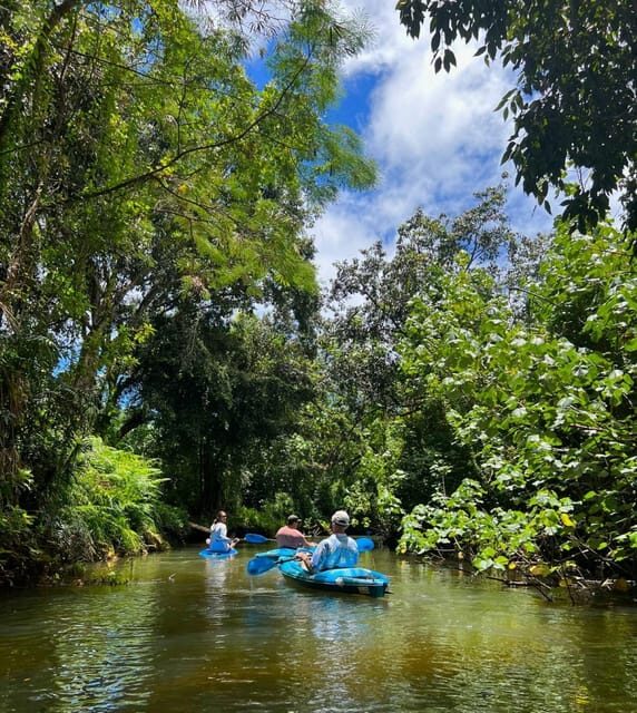 Oahu: Single & Double Kayak 3-Hour River Rental - The Practical Side: Price, Safety, and Accessibility