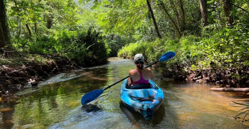 Oahu: Single & Double Kayak 3-Hour River Rental - Authentic Insights from Reviews