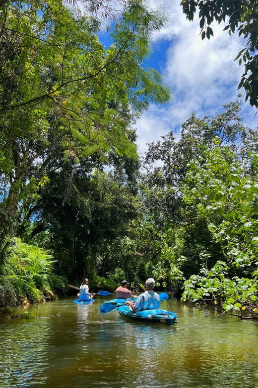 Oahu: Single & Double Kayak 3-Hour River Rental - Who Is This Tour Best For?