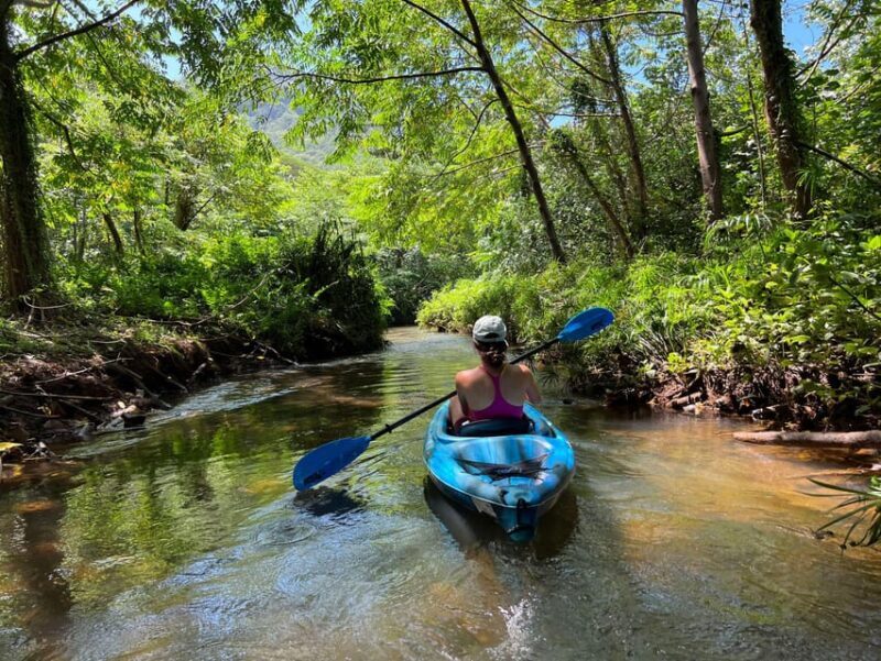 Oahu: Single & Double Kayak 3-Hour River Rental - Final Thoughts