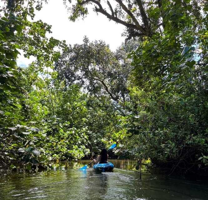 oahu-single-double-kayak-3-hour-river-rental