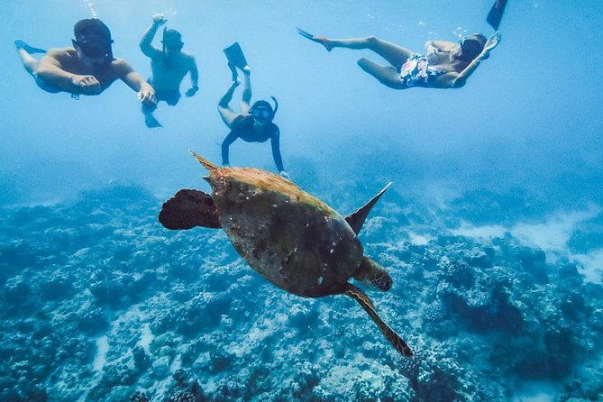 oahu-small-group-snorkel-tour-with-yacht-cruise