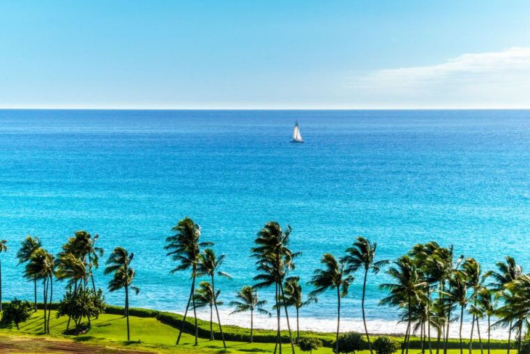 oahu-sunset-cruise-of-west-oahu-with-drinks-and-appetizers