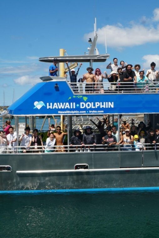 oahu-swim-with-dolphins-turtle-snorkel-tour-and-waterslide