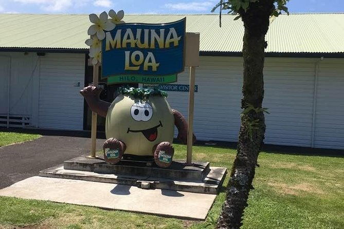 oahu-to-big-island-1-day-trip-volcano-tour-from-oahu-with-air-ticket