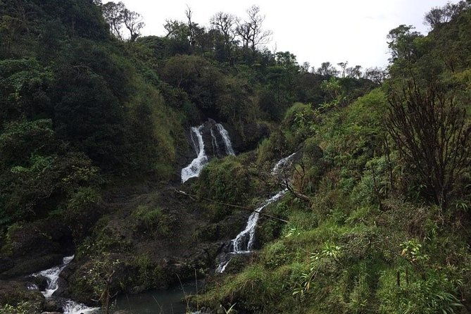 oahu-to-maui-1-day-trip-road-to-hana-day-trip-from-oahu-with-air-ticket