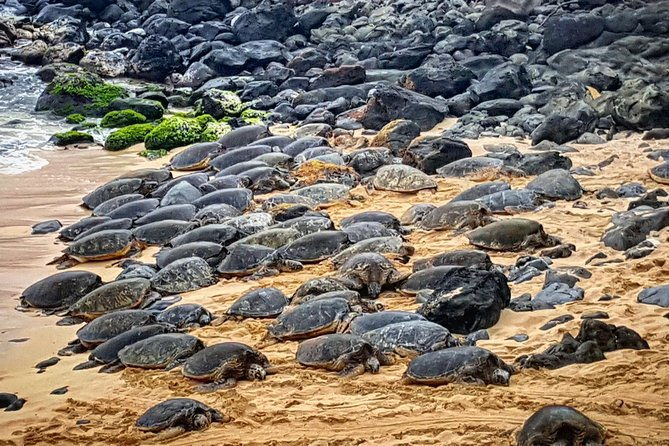 oahu-to-maui-1-day-trip-road-to-hana-day-trip-from-oahu-with-air-ticket