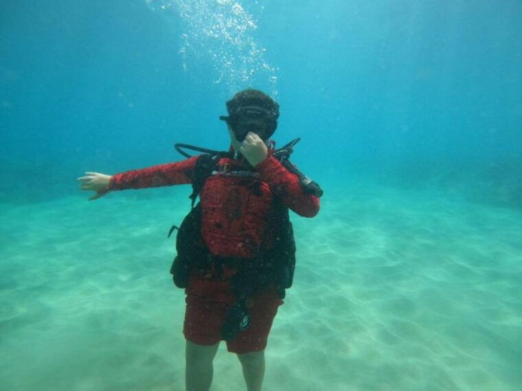 oahu-try-scuba-diving-from-shore
