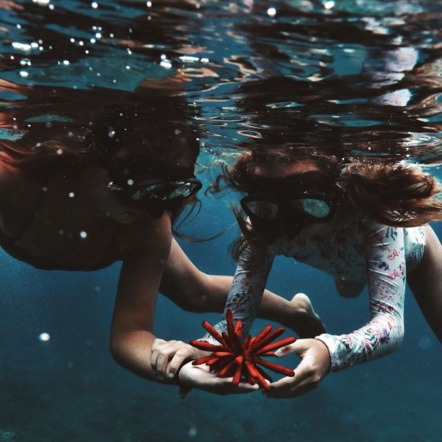oahu-turtle-canyon-snorkeling-boat-tour