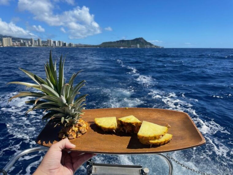 oahu-turtle-canyon-snorkeling-boat-tour