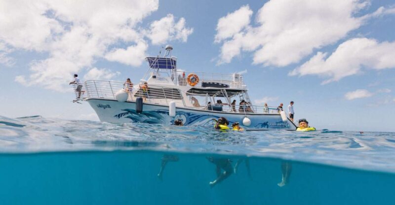 Oahu: Turtle Canyon Snorkeling & Hula Dance - How the Experience Holds Up in Real Life