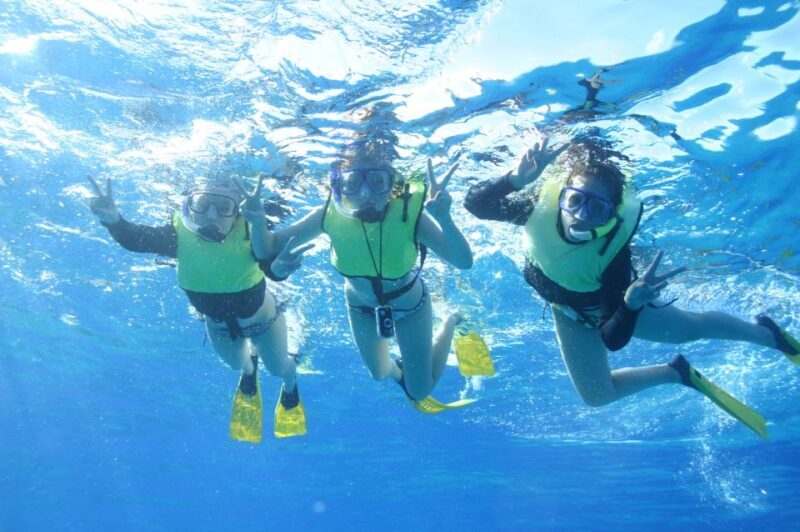 Oahu: Turtle Canyon Snorkeling & Hula Dance - Pricing and Value Analysis