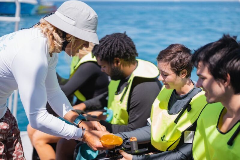 Oahu: Turtle Canyon Snorkeling & Hula Dance - Who Will Love This Tour?
