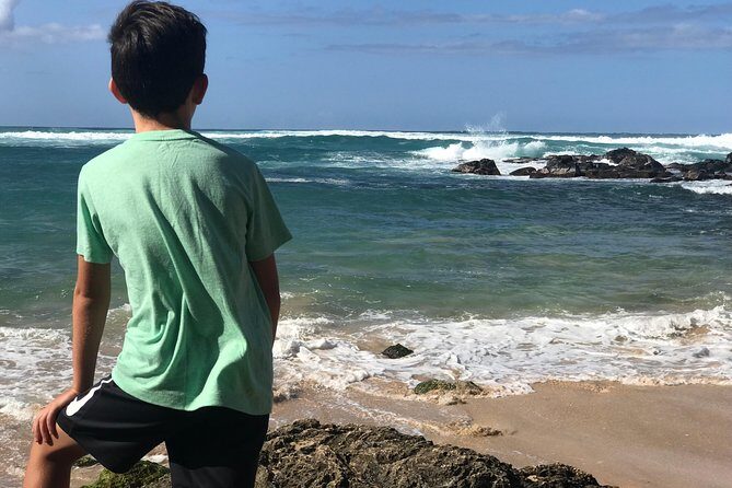 Oahu Unveiled: Tailored Luxury Private Island Tour - Practical Details and Considerations