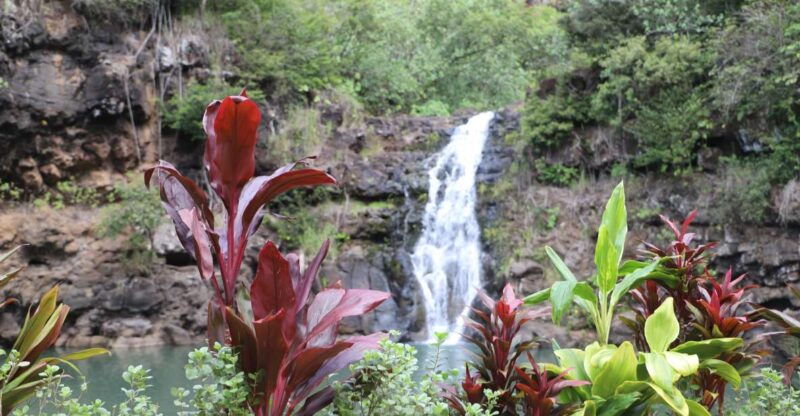 oahu-valley-of-waimea-falls-swim-hike-with-lunch-dole
