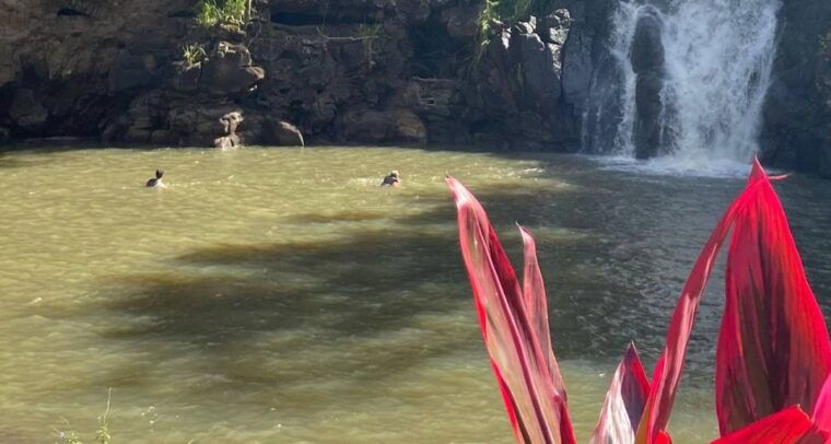 oahu-valley-of-waimea-falls-swim-hike-with-lunch-dole