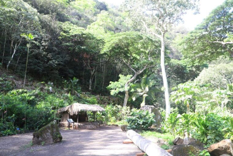 oahu-valley-of-waimea-falls-swim-hike-with-lunch-dole