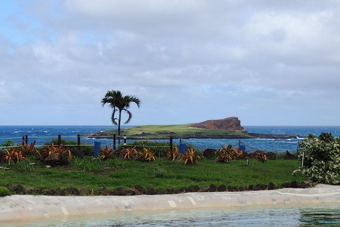 oahu-volcano-and-beaches-tour-in-spanish