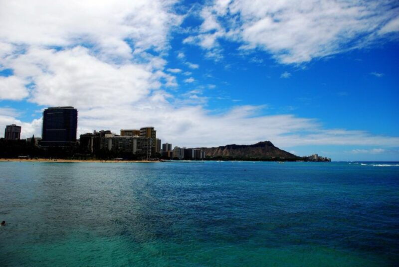 oahu-waikiki-eco-friendly-afternoon-whale-watching-trip