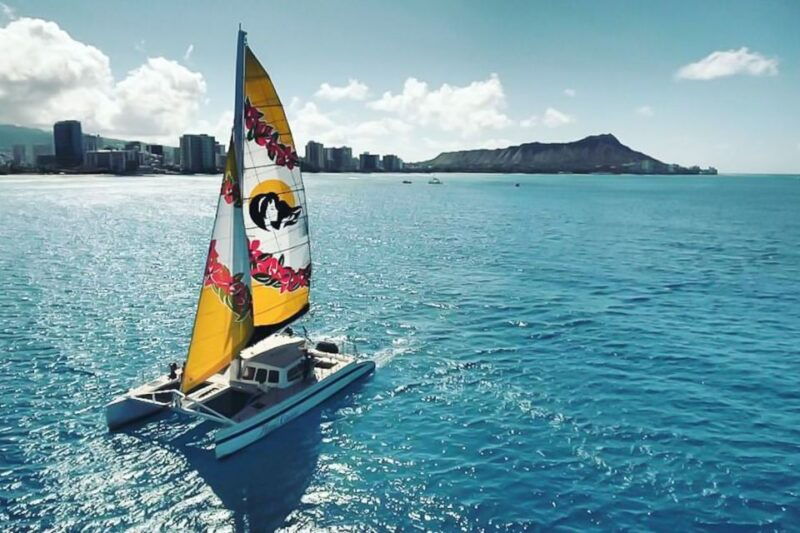 oahu-waikiki-eco-friendly-morning-whale-watching-cruise