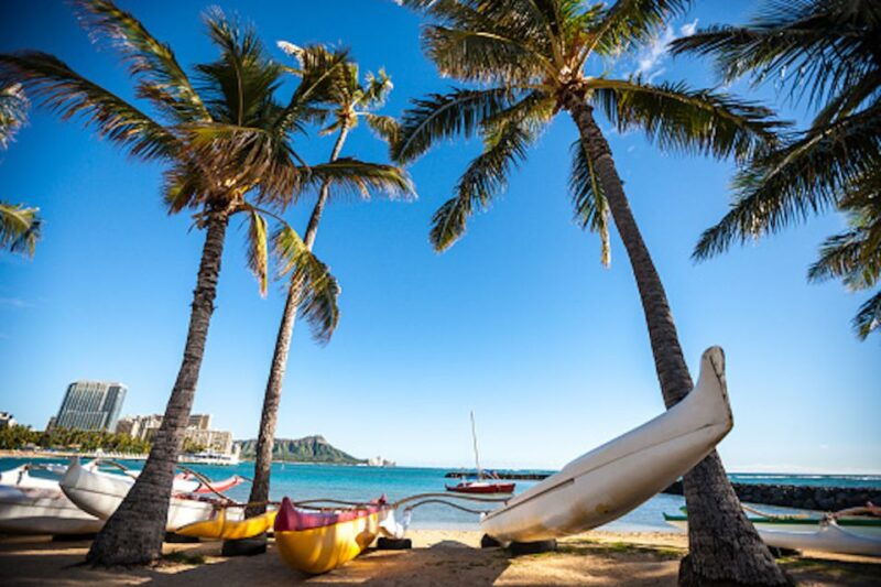 oahu-waikiki-kayak-tour-and-snorkeling-with-sea-turtles
