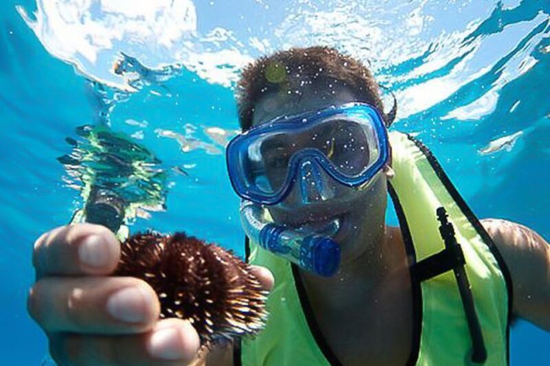 Oahu: Waikiki Snorkel and Sailing Trip with Lunch - Why This Trip Offers Great Value