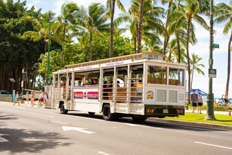 Oahu: Waikiki Trolley Hop-on Hop-off All-Line Pass - The Sum Up