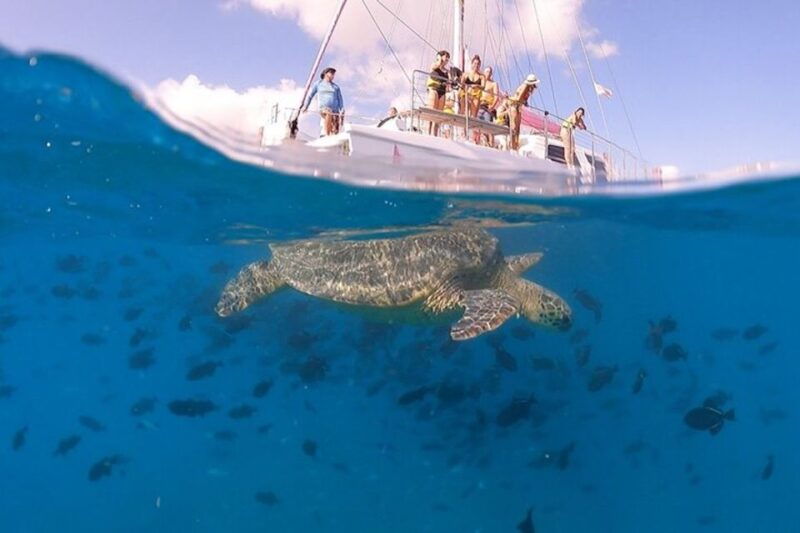 oahu-waikiki-turtle-snorkeling-adventure-cruise